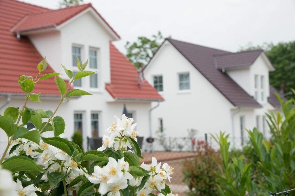 Ferienwohnanlage Schwabe Mit Schwimmbad Apartment Rerik Exterior foto